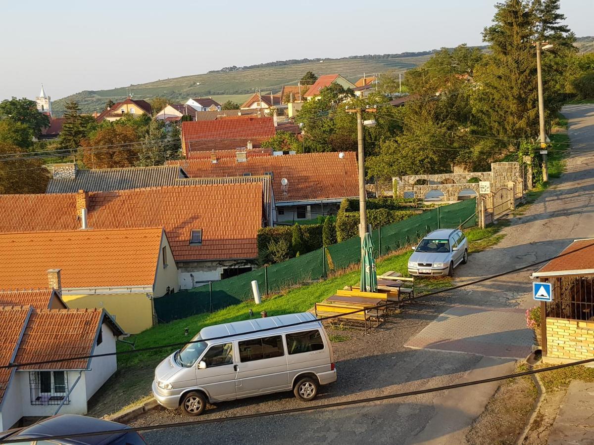 Anna S Vinnym Sklepem